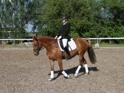IMG_5101_web